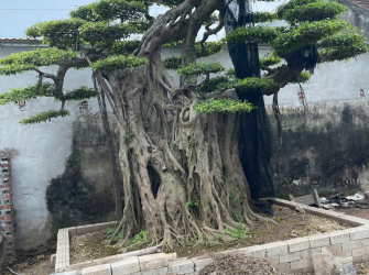 Dự &aacute;n 1